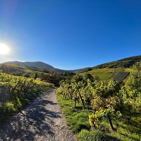 Chambre Du Vigneron - Domaine Leon Bleesz Reichsfeld Екстер'єр фото