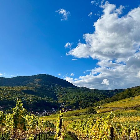 Chambre Du Vigneron - Domaine Leon Bleesz Reichsfeld Екстер'єр фото