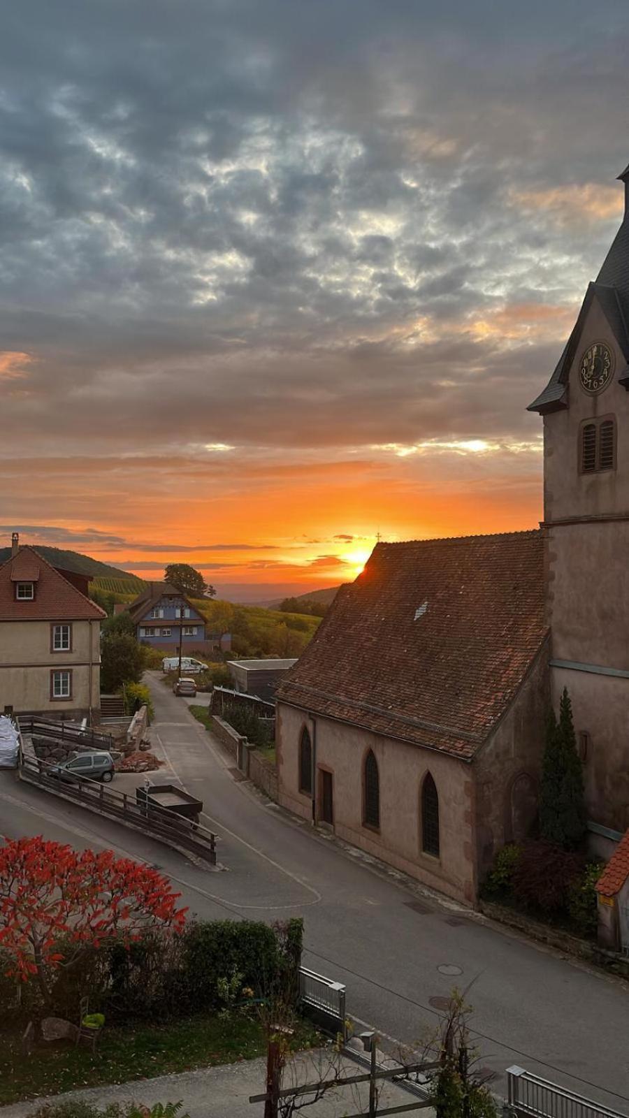 Chambre Du Vigneron - Domaine Leon Bleesz Reichsfeld Екстер'єр фото